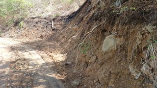 이순기님의 기타작물 · 영농일지 작성글 사진