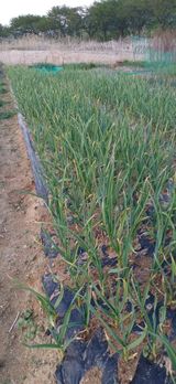 남궁봉님의 작성글 사진