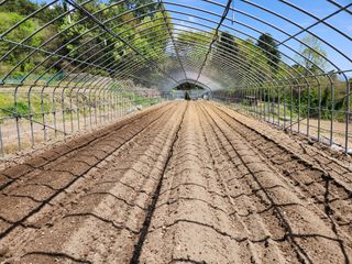 최미선님의 기타작물 · 영농일지 작성글 사진