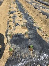 비타민님의 작성글 사진