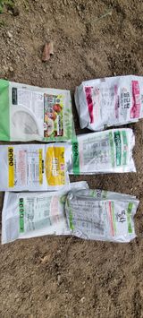 초연동행님의 작성글 사진