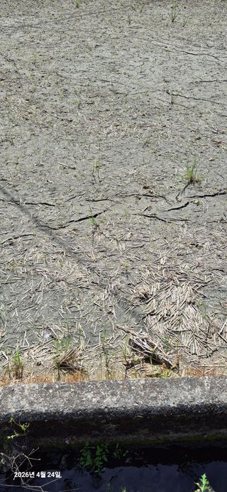 조준제님의 기타작물 · 영농일지 작성글 사진