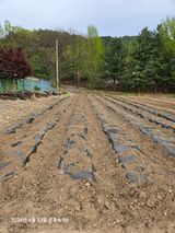 김병효님의 작성글 사진