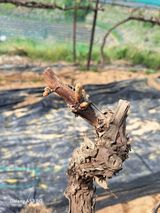 조연만님의 작성글 사진