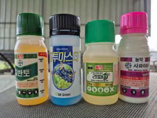 김용희님의 포도 · 영농일지 작성글 사진