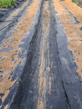 마늘14470님의 작성글 사진