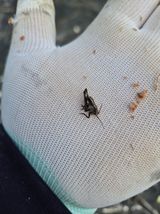 김용희님의 작성글 사진