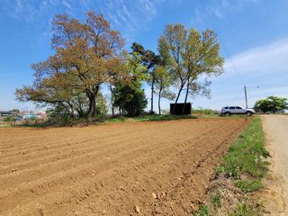 로만아빠님의 감자 · 영농일지 작성글 사진