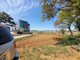 로만아빠님의 감자 · 영농일지 작성글 사진