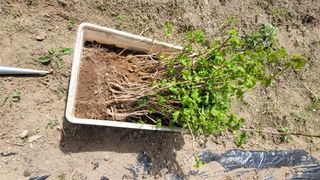 서초농원님의 작성글 사진