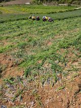 김성환님의 작성글 사진