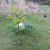 김건우님의 작성글 사진