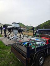 두릅나무9056님의 작성글 사진