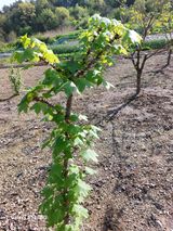 손길준님의 작성글 사진