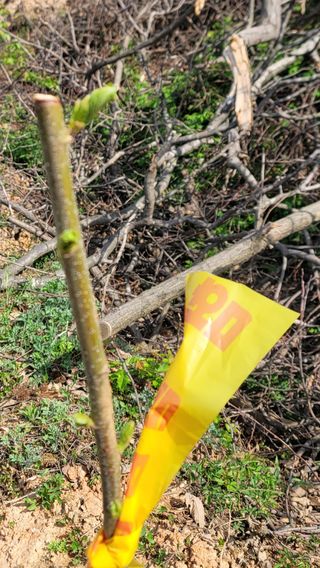 서초농원님의 작성글 사진