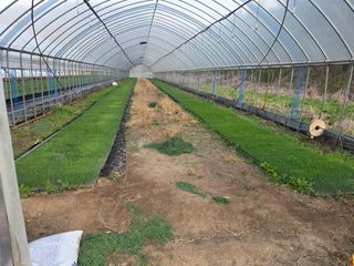 엄재웅님의 기타작물 · 영농일지 작성글 사진