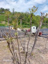 손길준님의 작성글 사진