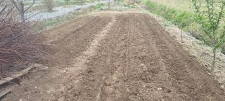 초연동행님의 작성글 사진