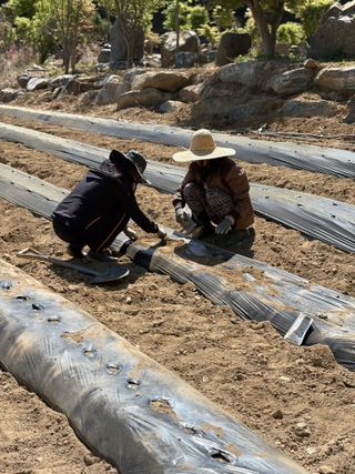 신지연님의 기타작물 · 영농일지 작성글 사진