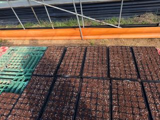 최우혁님의 기타작물 · 영농일지 작성글 사진