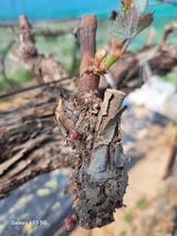 조연만님의 작성글 사진