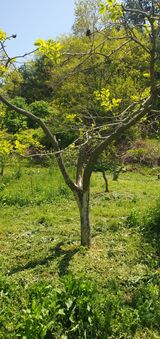 김영진님의 작성글 사진