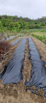 초연동행님의 작성글 사진