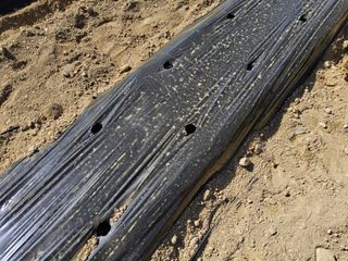 신지연님의 기타작물 · 영농일지 작성글 사진