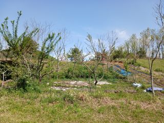 김윤철님의 기타작물 · 영농일지 작성글 사진