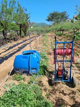 팜모닝 기타작물·영농일지 게시글 이미지