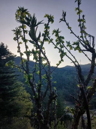 인생은 소풍처럼~님의 기타작물 · 영농일지 작성글 사진