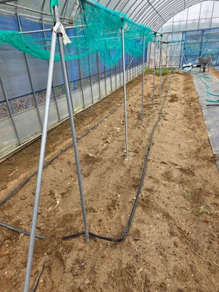 현모양처(양현모)님의 오이 · 영농일지 작성글 사진