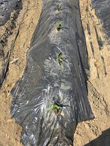 비타민님의 작성글 사진