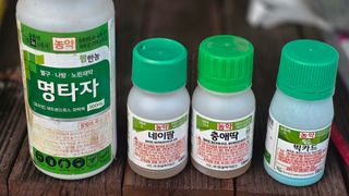 가야산도사님의 복숭아 · 영농일지 작성글 사진