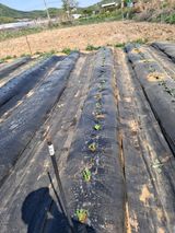 백영호님의 작성글 사진