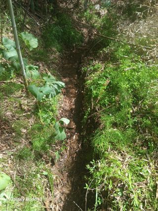 윤석돈님의 기타작물 · 영농일지 작성글 사진