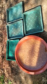 서초농원님의 작성글 사진