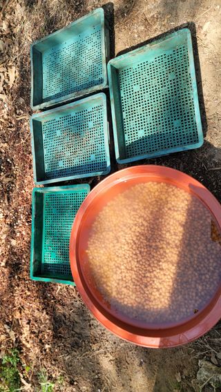 서초농원님의 기타작물 · 영농일지 작성글 사진