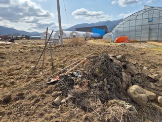 경포일출님의 작성글 사진