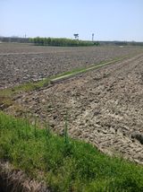 김창호 님의 작성글 사진