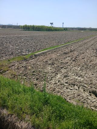 김창호 님의 벼 · 영농일지 작성글 사진
