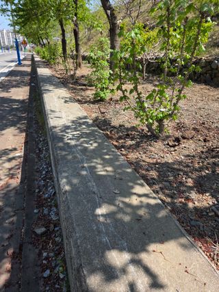 김용대님의 기타작물 · 영농일지 작성글 사진