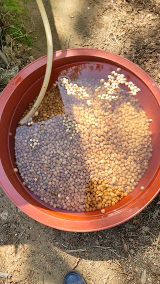 서초농원님의 기타작물 · 영농일지 작성글 사진