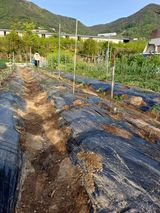 신 난다님의 작성글 사진