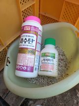 누리나루님의 작성글 사진