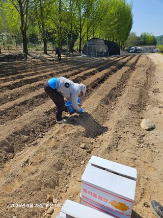 김병효님의 기타작물 · 영농일지 작성글 사진