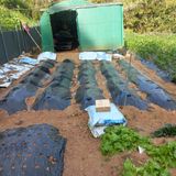 김건우님의 작성글 사진