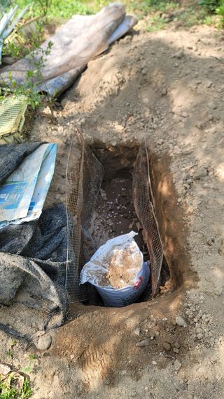 서초농원님의 기타작물 · 영농일지 작성글 사진