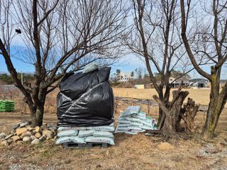 경포일출님의 기타작물 · 영농일지 작성글 사진