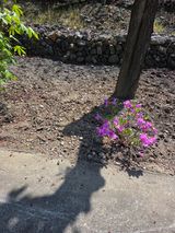 김용대님의 작성글 사진